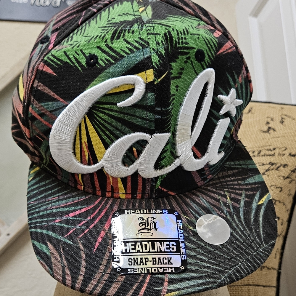 🍍Cali tropical ball cap